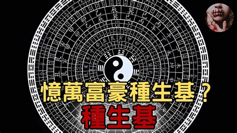 種生基|什麼是生基？生基有什麼功效？對於生基的解釋有多少種版本？